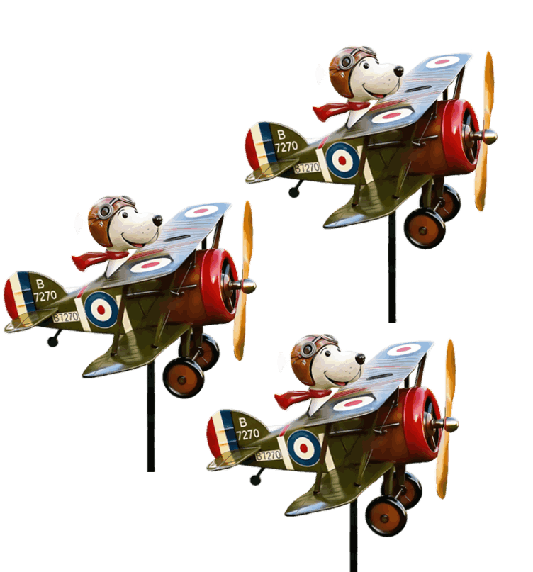 what is Windodream sky dreamer